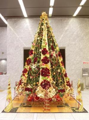 千葉県庁クリスマスツリー点灯前