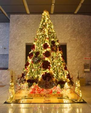 千葉県庁クリスマスツリー点灯後