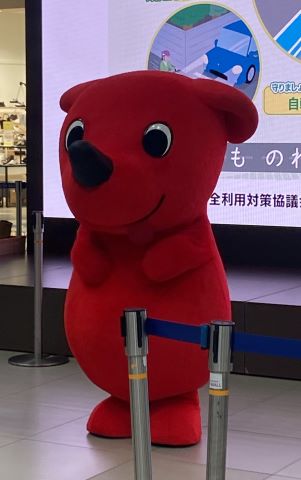広報啓発活動の画像