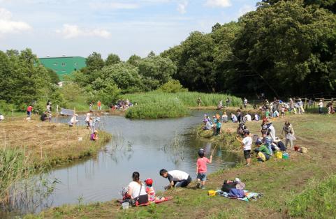 三ツ堀里山自然園を育てる会の活動の様子