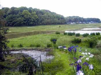 里山の風景