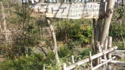 ホタル観賞会場