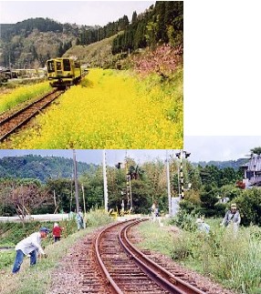 いすみ鉄道沿線での活動の様子