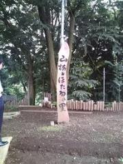 エコ・やちまた1