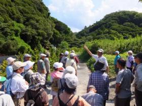 NPO富浦エコミューゼ研究会