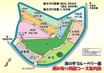 ブルーベリー園コース案内図