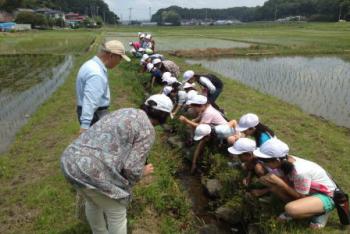 蛍の里を守ろう会（子ども達との活動）