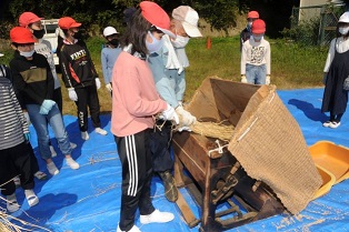 足踏脱穀機体験の様子