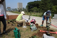 苗木を植樹する様子