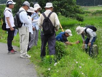 八千代市郷土歴史研究会