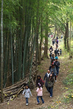 里山を歩く会活動の様子