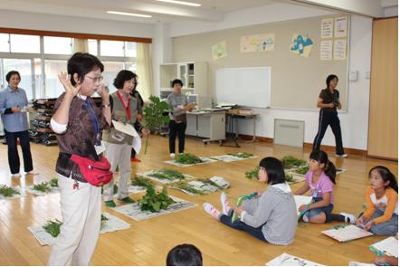 佐倉野草会活動の様子