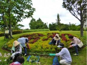 東松戸ゆいの花公園ボランティア団体「結いの会」2