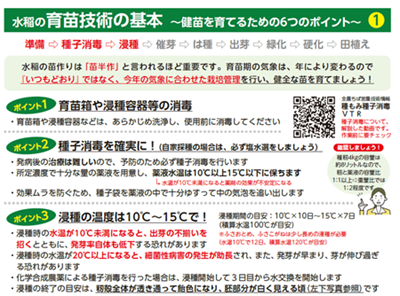 水稲の育苗技術の基本　生産者向け資料