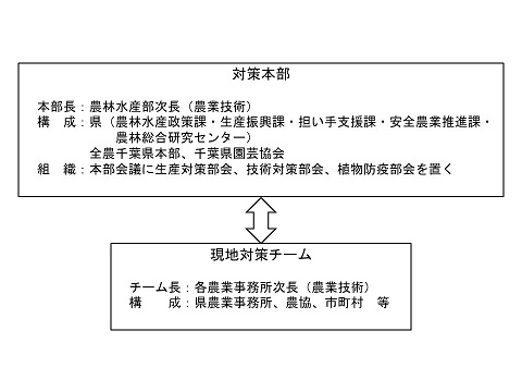 体制図