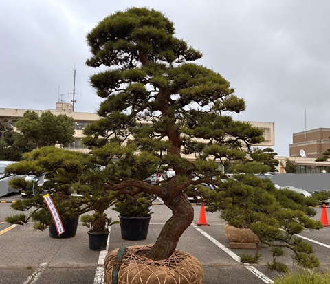 農林水産大臣賞