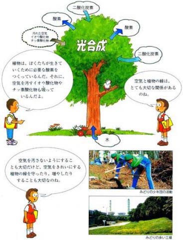 とっても大切 空気 大気汚染 光合成イメージ 環境学習用副読本 環境とわたしたち 千葉県