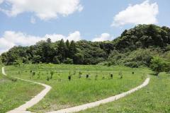 墓苑全景