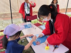 成田日本茜復活チーム（千葉県立成田西陵高等学校園芸科作物専攻）の活動の様子