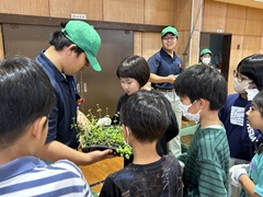 成田日本茜復活チーム（千葉県立成田西陵高等学校園芸科作物専攻）の活動の様子
