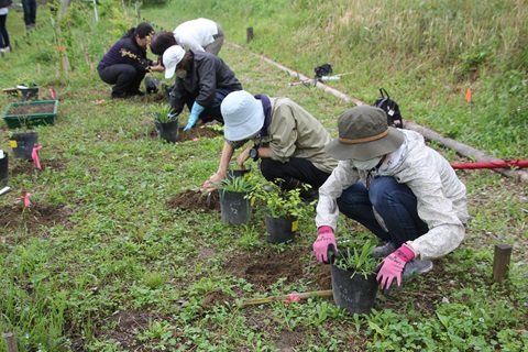 森の墓苑での植草の様子
