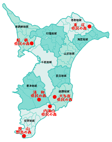 県民の森 千葉県