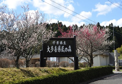 大多喜県民の森の写真