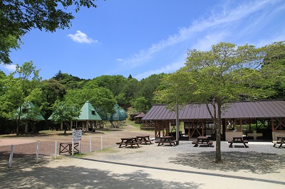 ロッジ村の風景