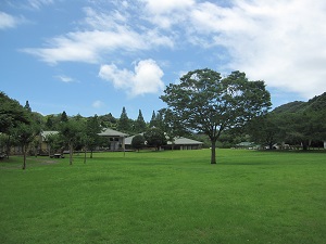 芝生広場