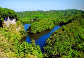 清和県民の森の写真