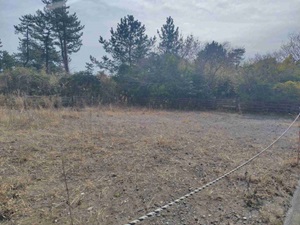 長生郡白子町中里字南塩場4565番31の画像