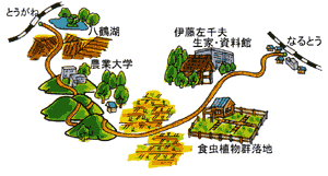 コース概略図