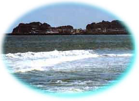日在浦海岸の写真