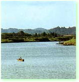 夷隅川の写真