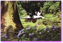 清澄寺