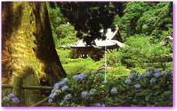 清澄寺の写真