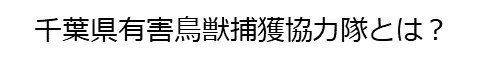 千葉県有害鳥獣捕獲協力隊とは参加隊員(実践コース及び疑似体験コース)、支援隊員から構成される