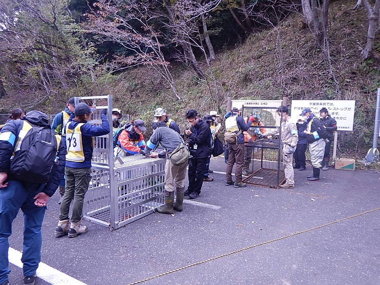 有害鳥獣捕獲見学ツアー捕獲現場体験(箱わなの作動)