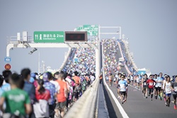 橋の上を走るランナーの様子