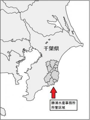 勝浦水産事務所所管区域図（広域）