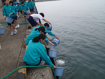 ヒラメ放流体験