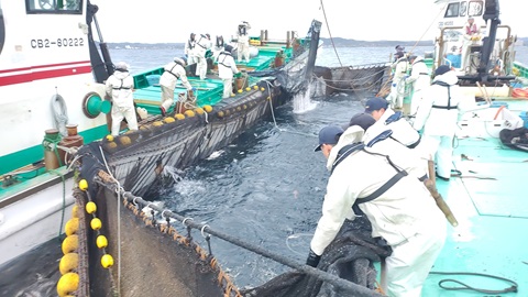 定置網漁業の様子
