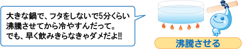 ポタリ吹き出し、大きな鍋で蓋をしないで5分くらい沸騰させてから冷やすんだって。でも早く飲みきらなきゃ駄目だよ。