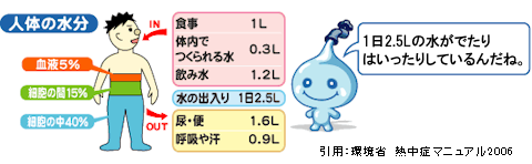 1日における人体の水分の収支を示すイラスト、ポタリ吹き出し、1日に2.5Lの水が出たり入ったりしているんだね