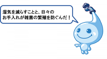 湿気を減らすことと、日々のお手入れが雑菌繁殖を防ぐんだ。 湿気を減らすことと、日々のお手入れが雑菌繁殖を防ぐんだ。