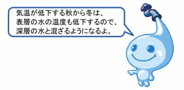 気温が低下する秋季から冬季は、表層の水の温度も低下するので、深層の水と混ざるようになるよ。