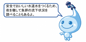 安全でおいしい水道水をつくるため、夜を徹して魚卵の流下状況を調べることもあるよ。