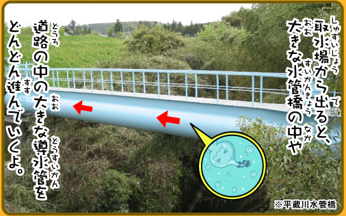 取水場から出ると大きな水管橋の中や、道路の中の大きな導水管をどんどん進んでいくよ。※平蔵川水管橋