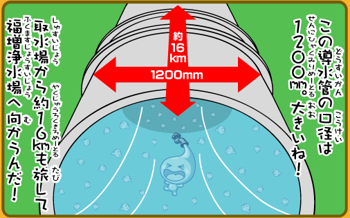 この導水管の口径は1200mm。大きいね！取水場から約16Kmも旅して福増浄水場へ向かうんだ！