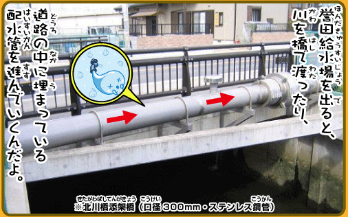 千葉県